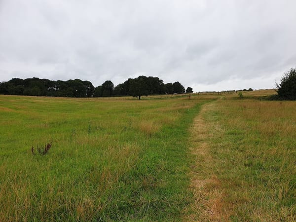 Sibbergroeve in natuur