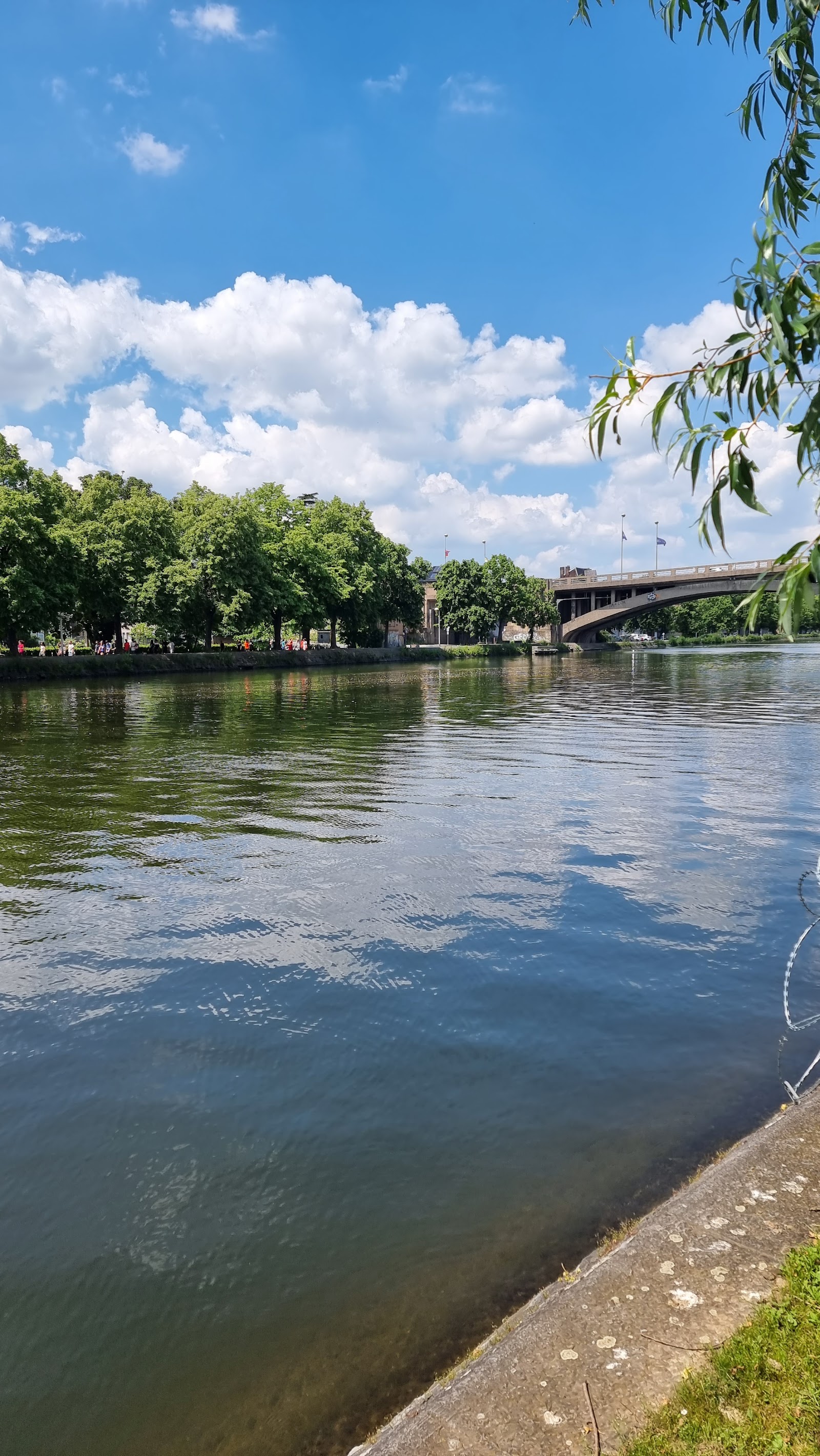 Parc de l'île Robinson in Visé — park