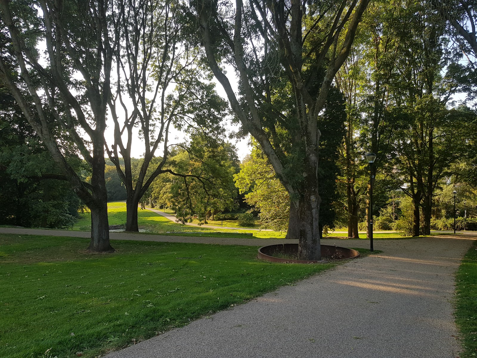 Hertenpark in Kerkrade — park