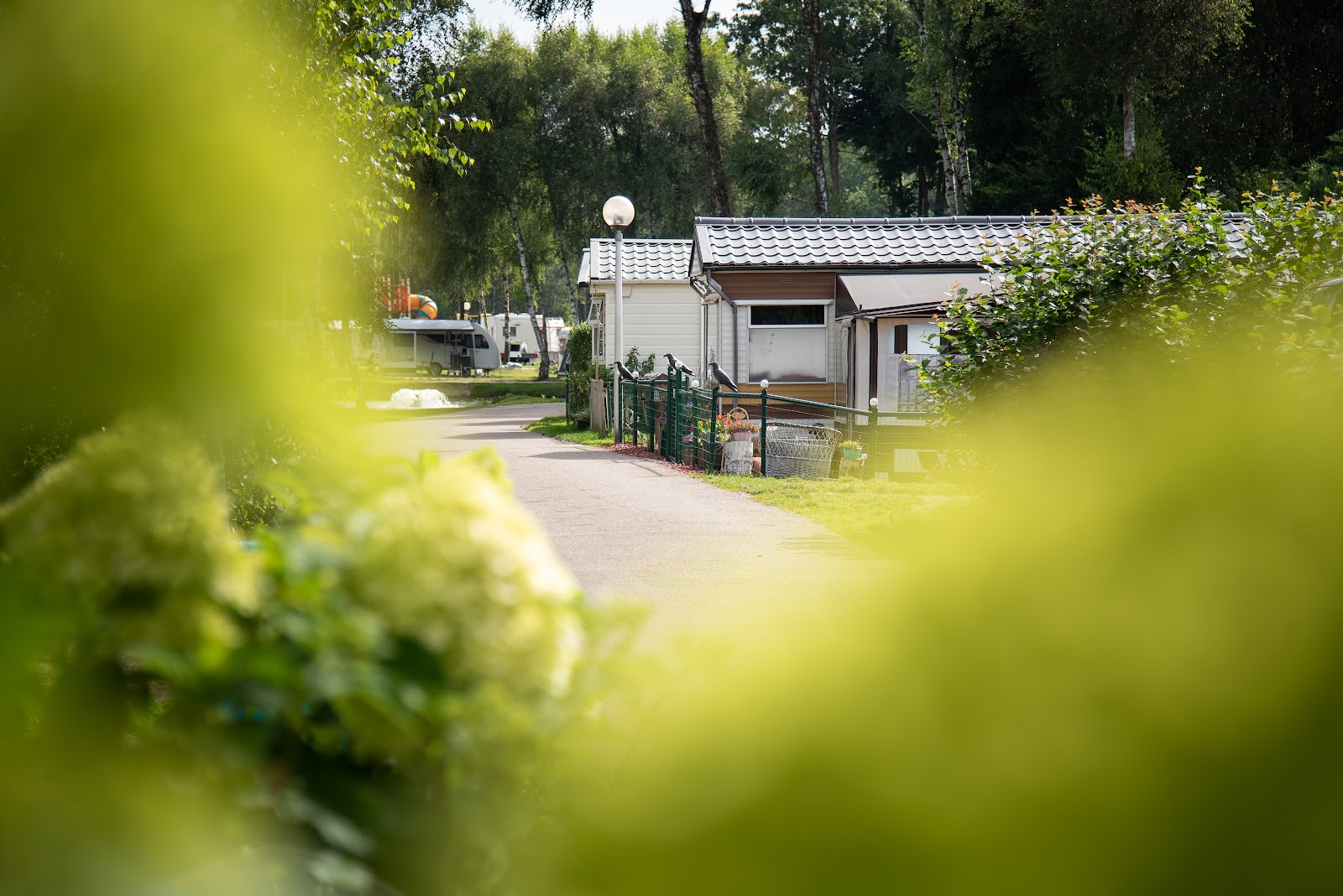 Camping Zavelbos in Maaseik