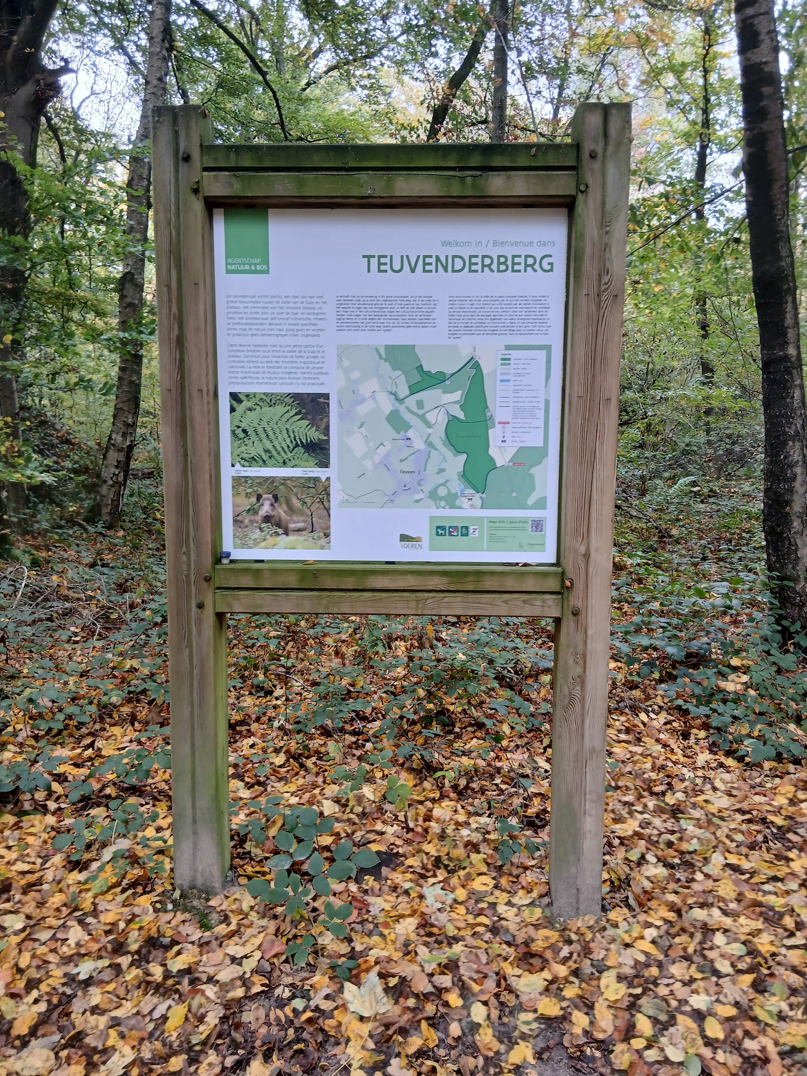 Teuvenderberg in Voeren — park