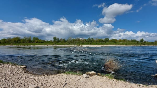 Waterval in de Maas - Stokkem in doen