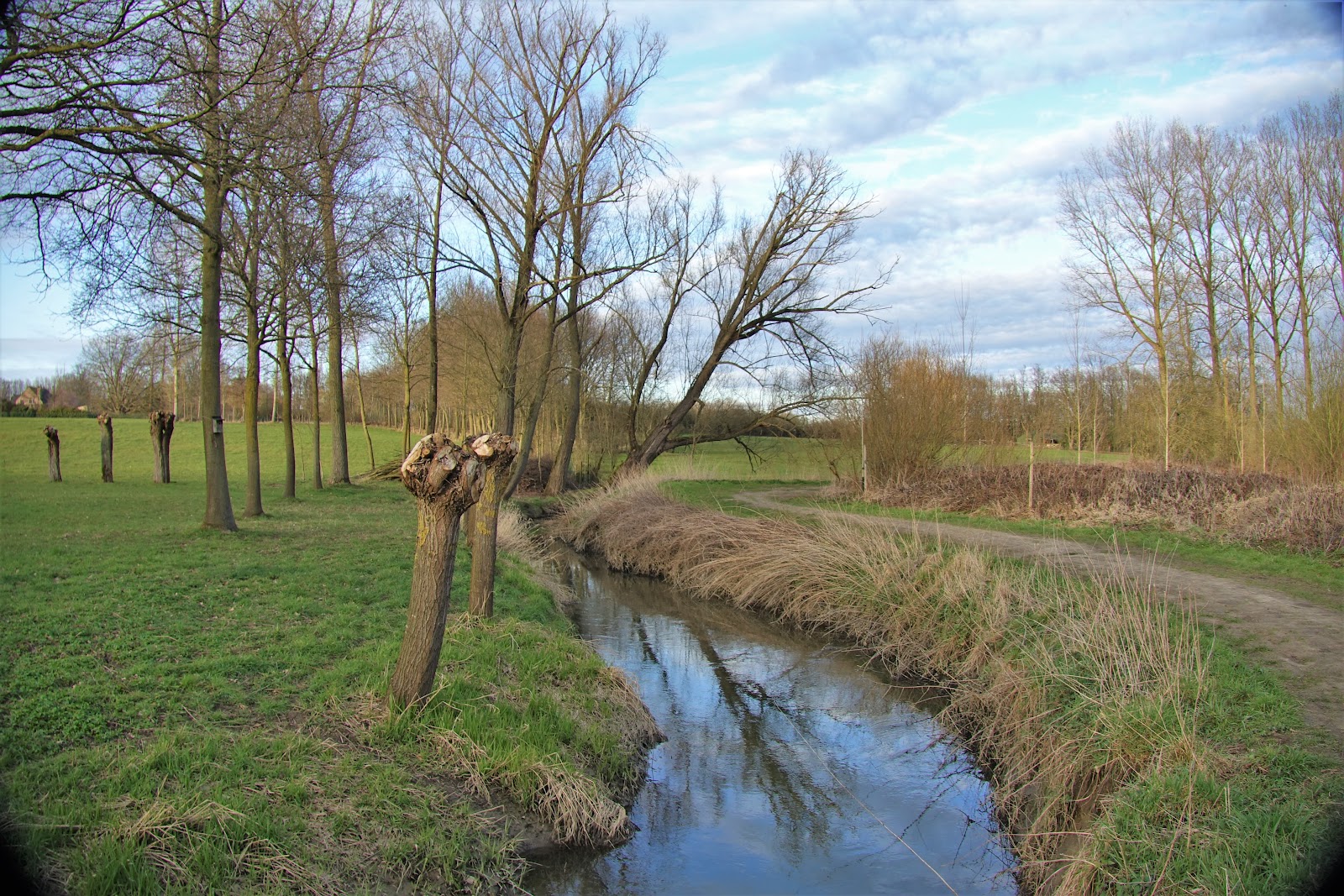 Natuurreservaat Mombeekvallei in Hasselt