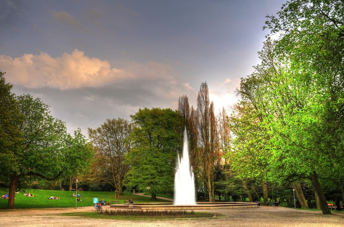 Stadt Park — hondvriendelijk in Limburg
