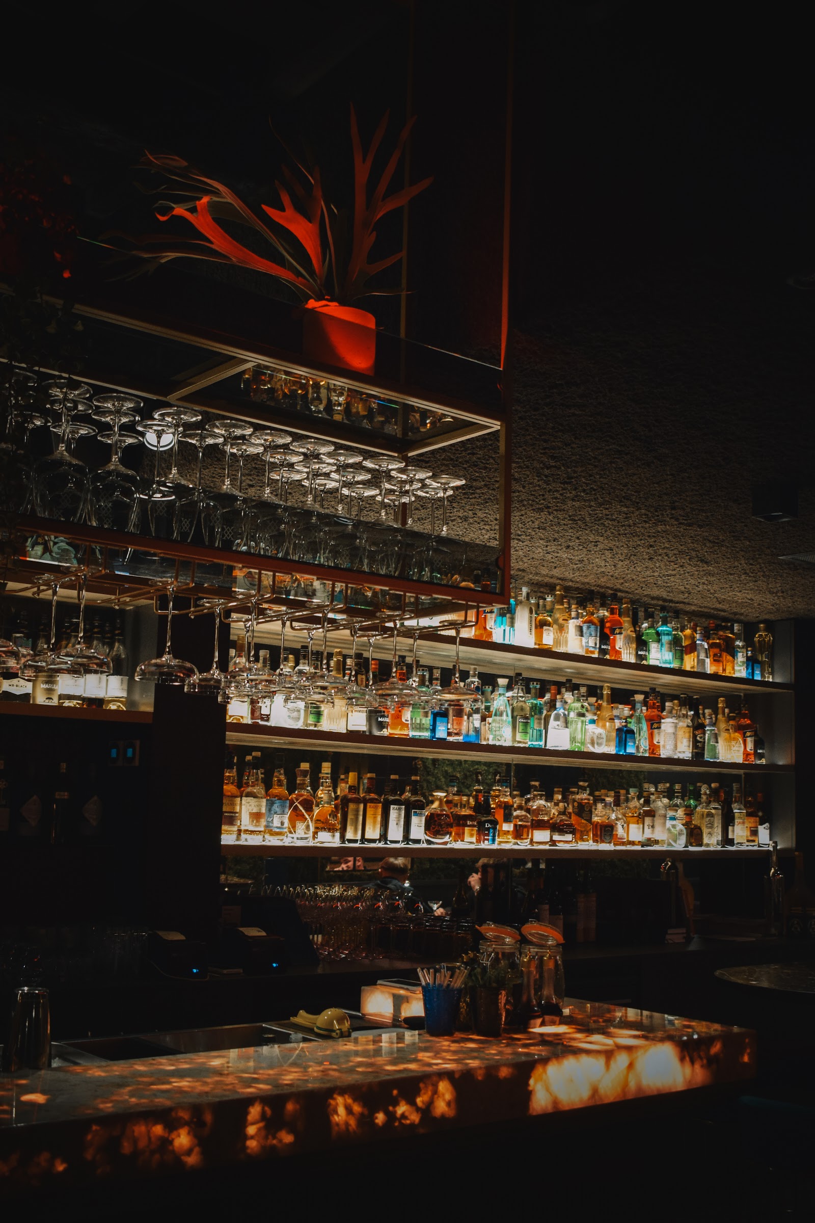 Ox club in Sint-Truiden — restaurant