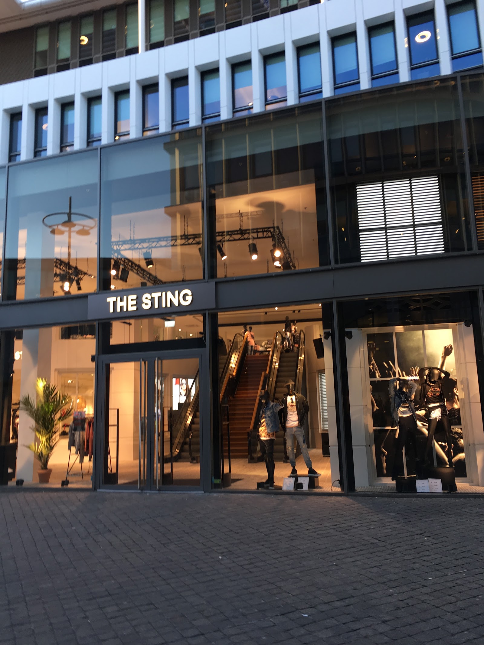 THE STING in Maastricht