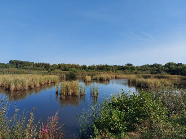 De Maten in Natuur