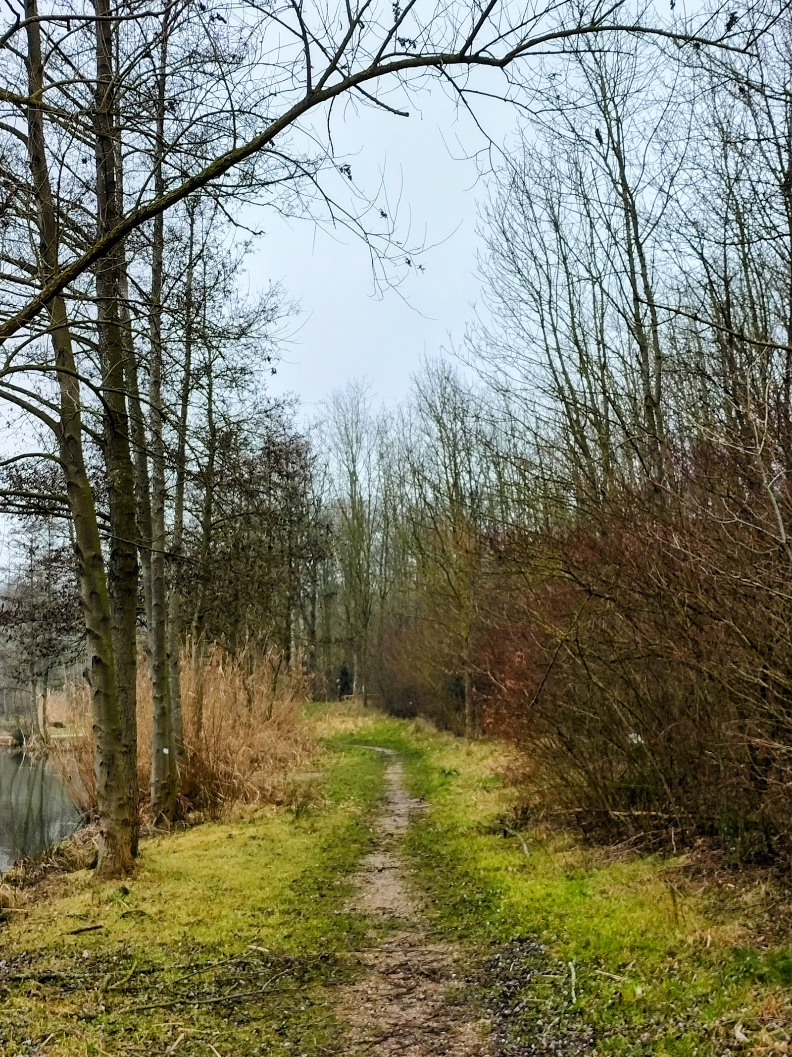 Meerssenerbroek in Meerssen