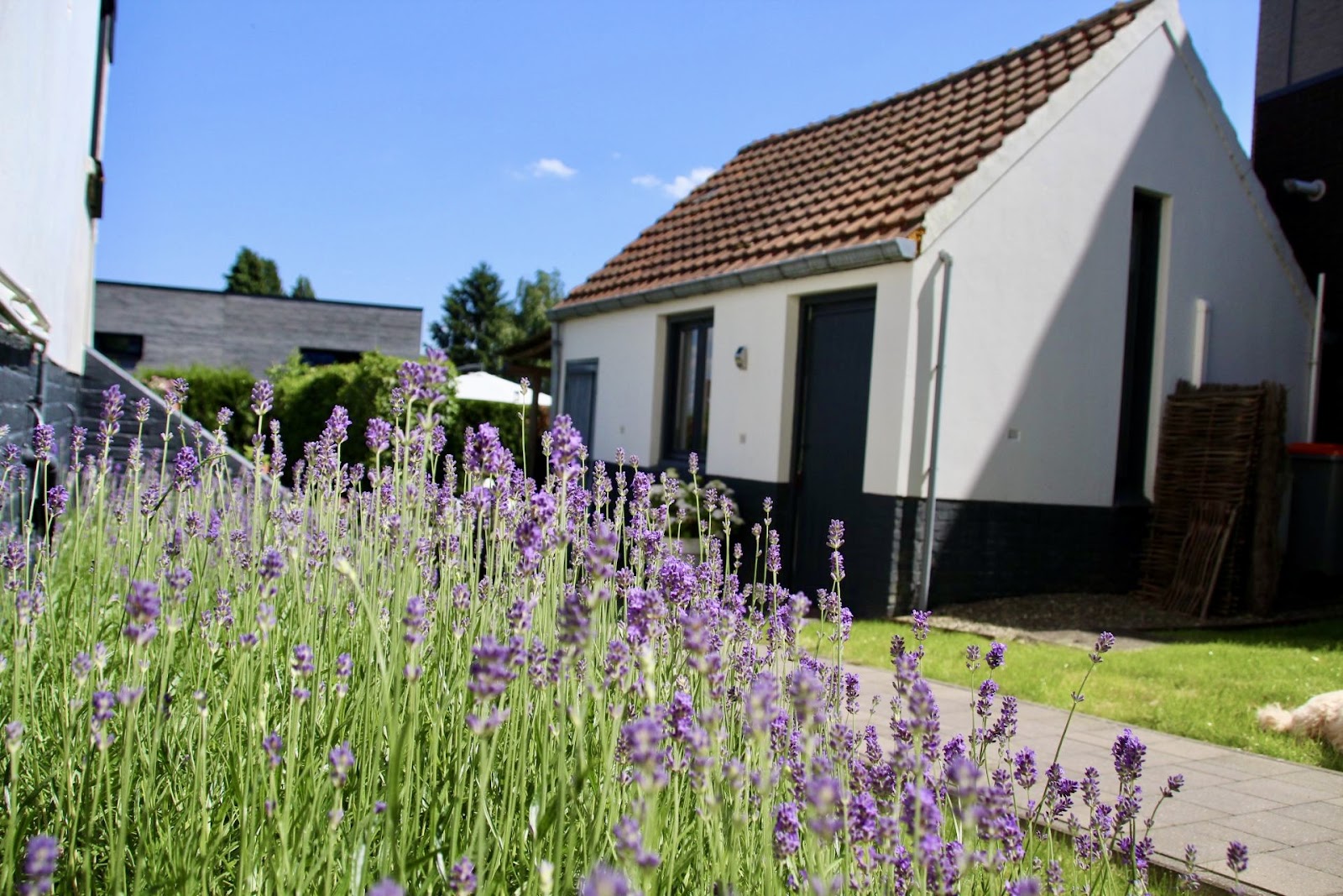 B&B Belle-Chique in Lanaken