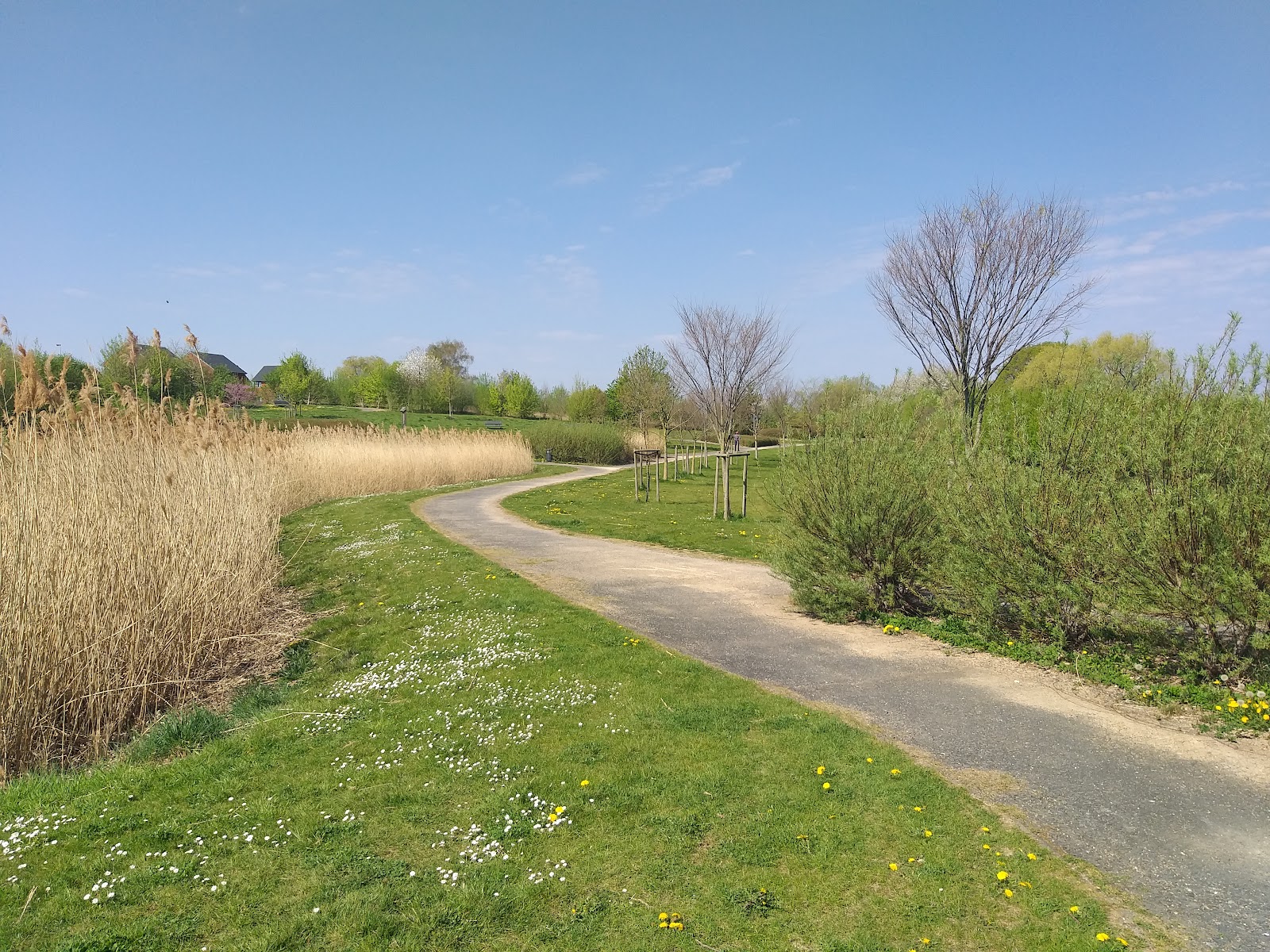Libellenpark in Visé — park