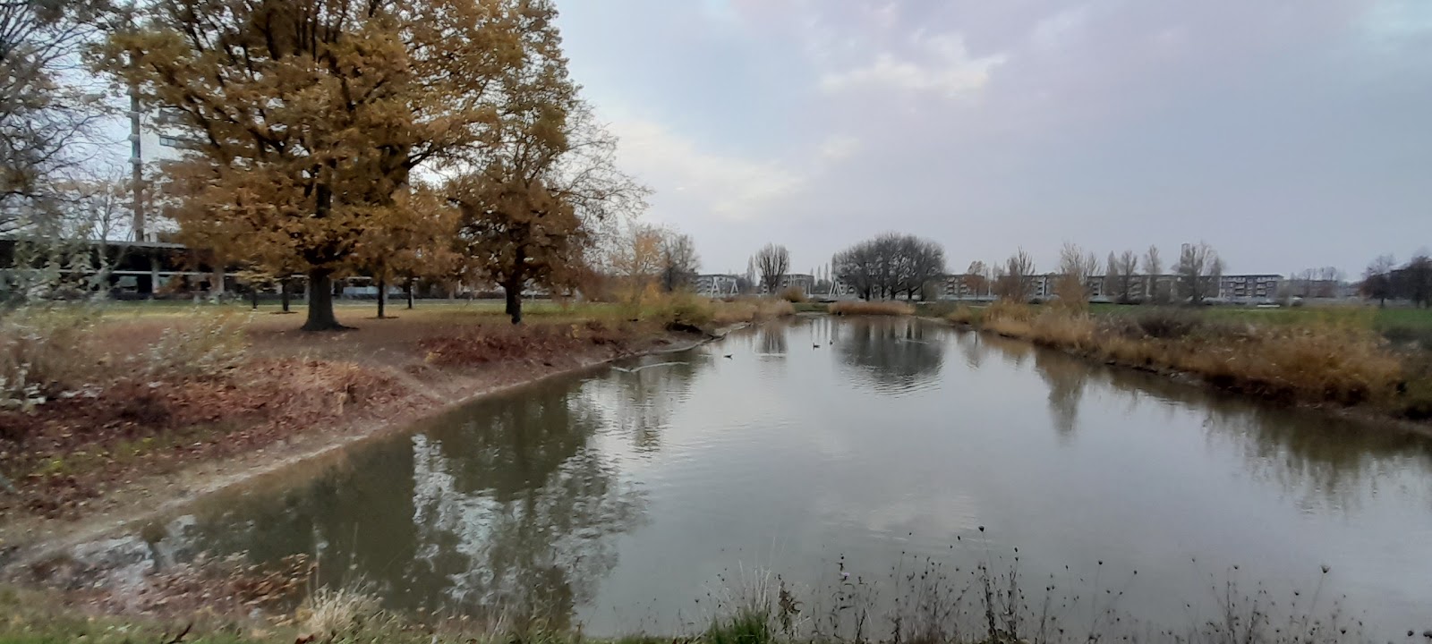 De Groene Loper in Maastricht — park