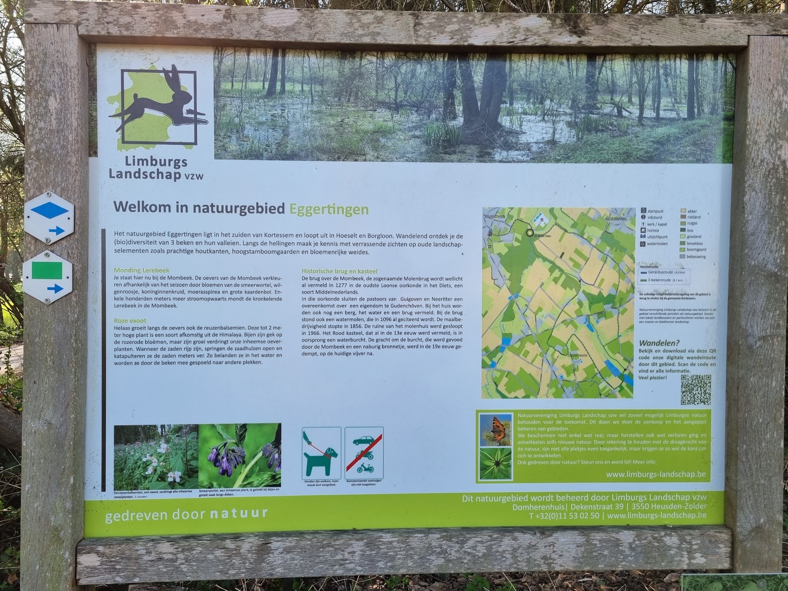 Natuurgebied Eggertingen in Hasselt