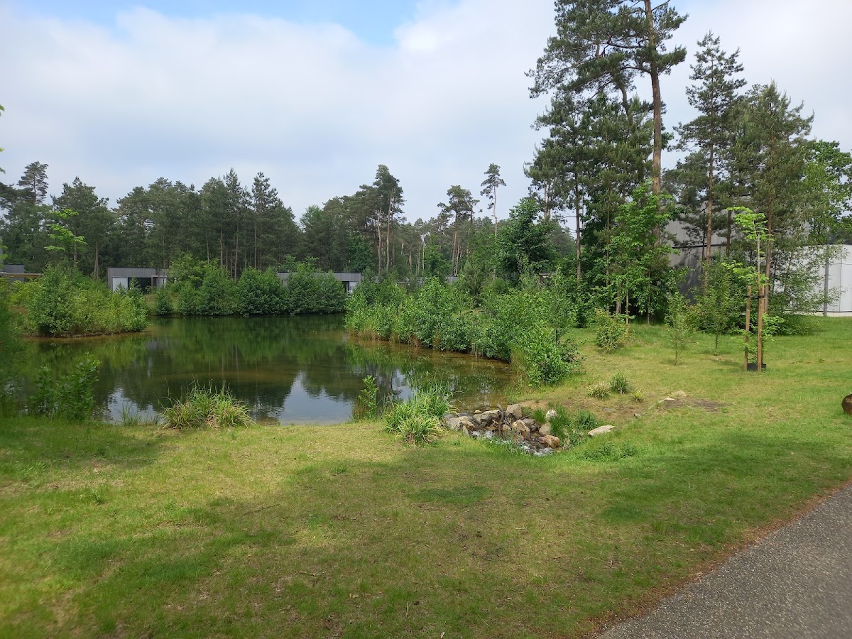 Kid safari in Dilsen-Stokkem — attractie