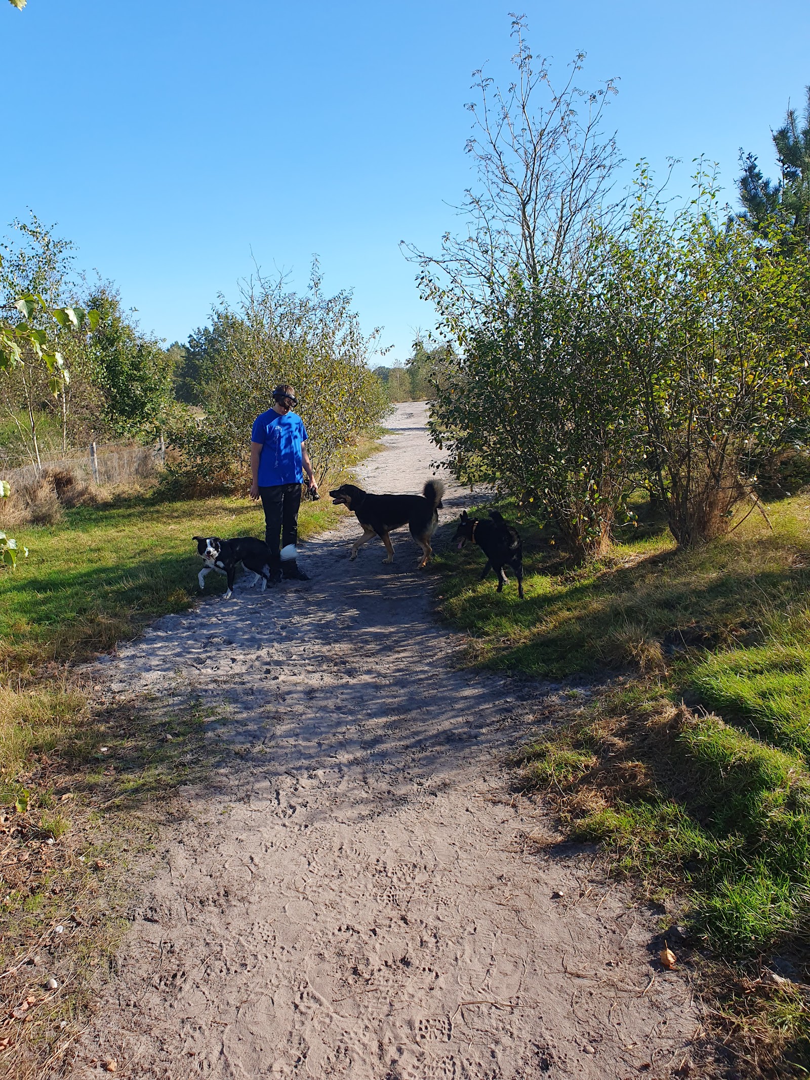 Honden losloopweide Holsteenbron in Zonhoven — park