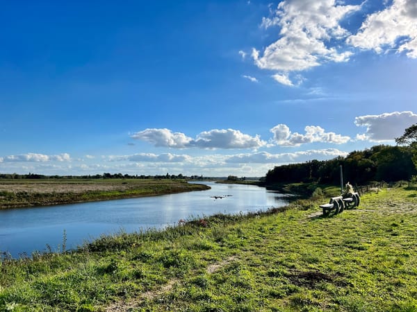 Maaspanorama in Natuur