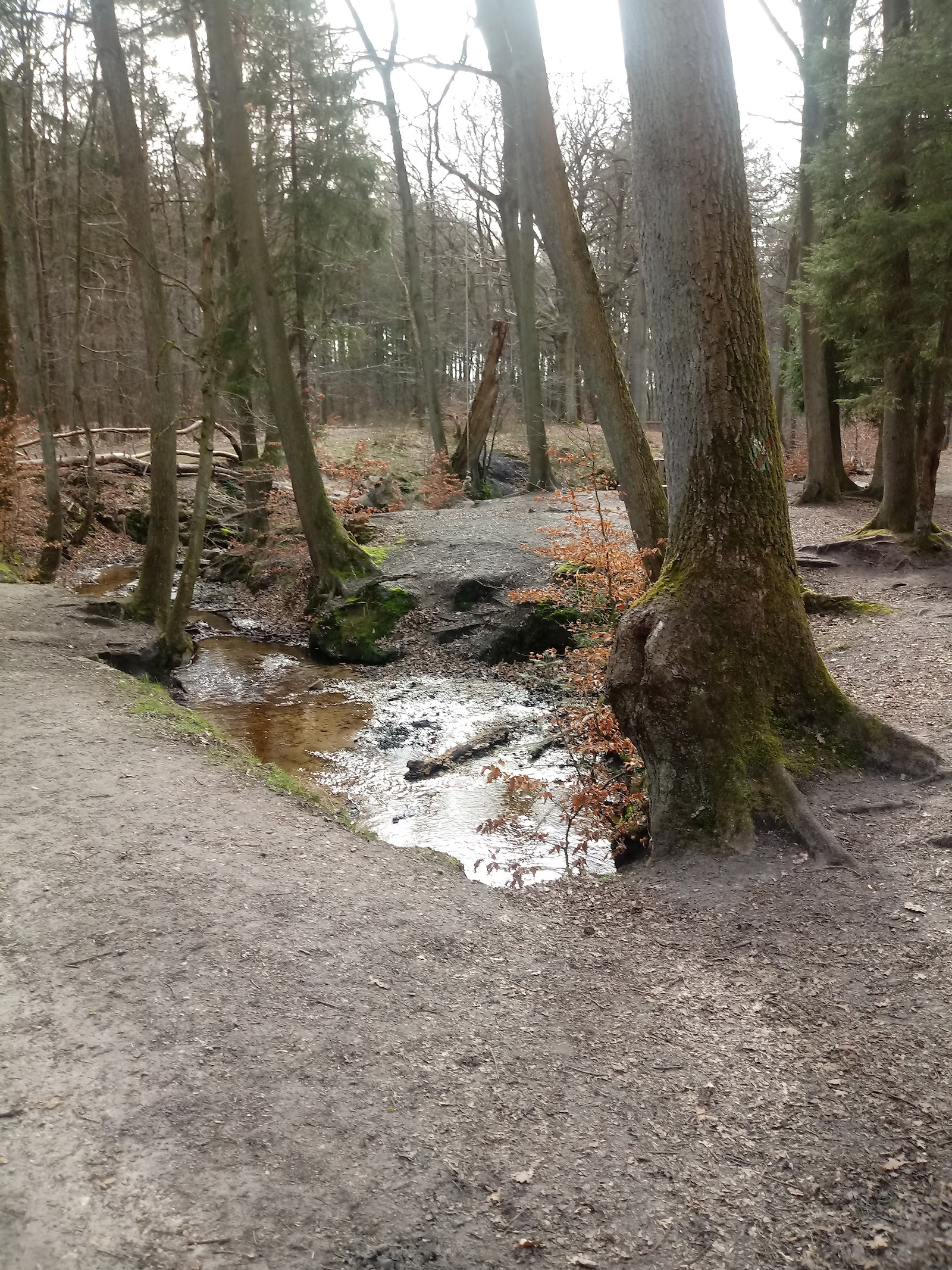 Oversteek Roelerbeek in Lanaken