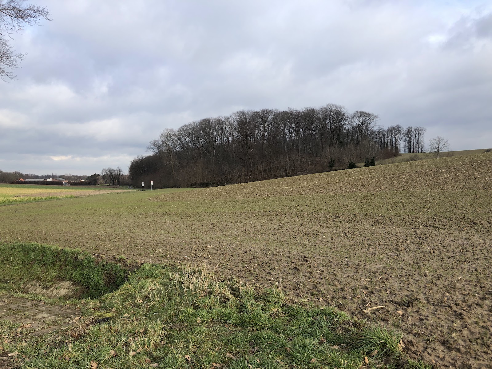 De Woander in Bingelrade — park