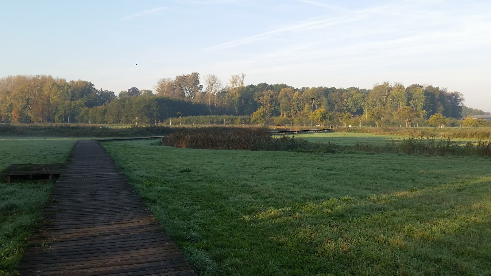 Domein 't Speelhof in Sint-Truiden — park