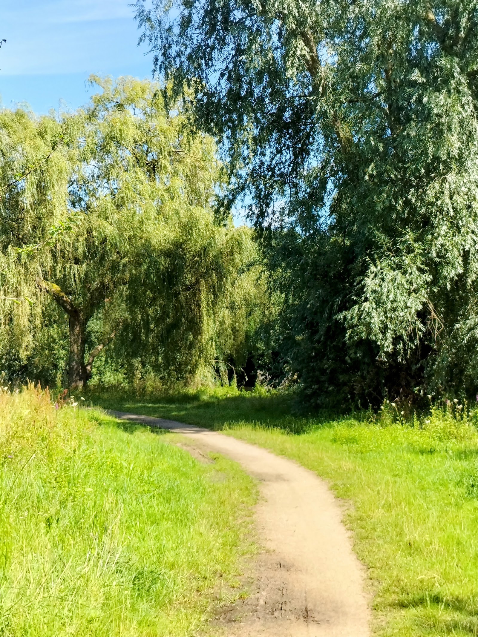 Wilderpark in Bilzen-Hoeselt — park