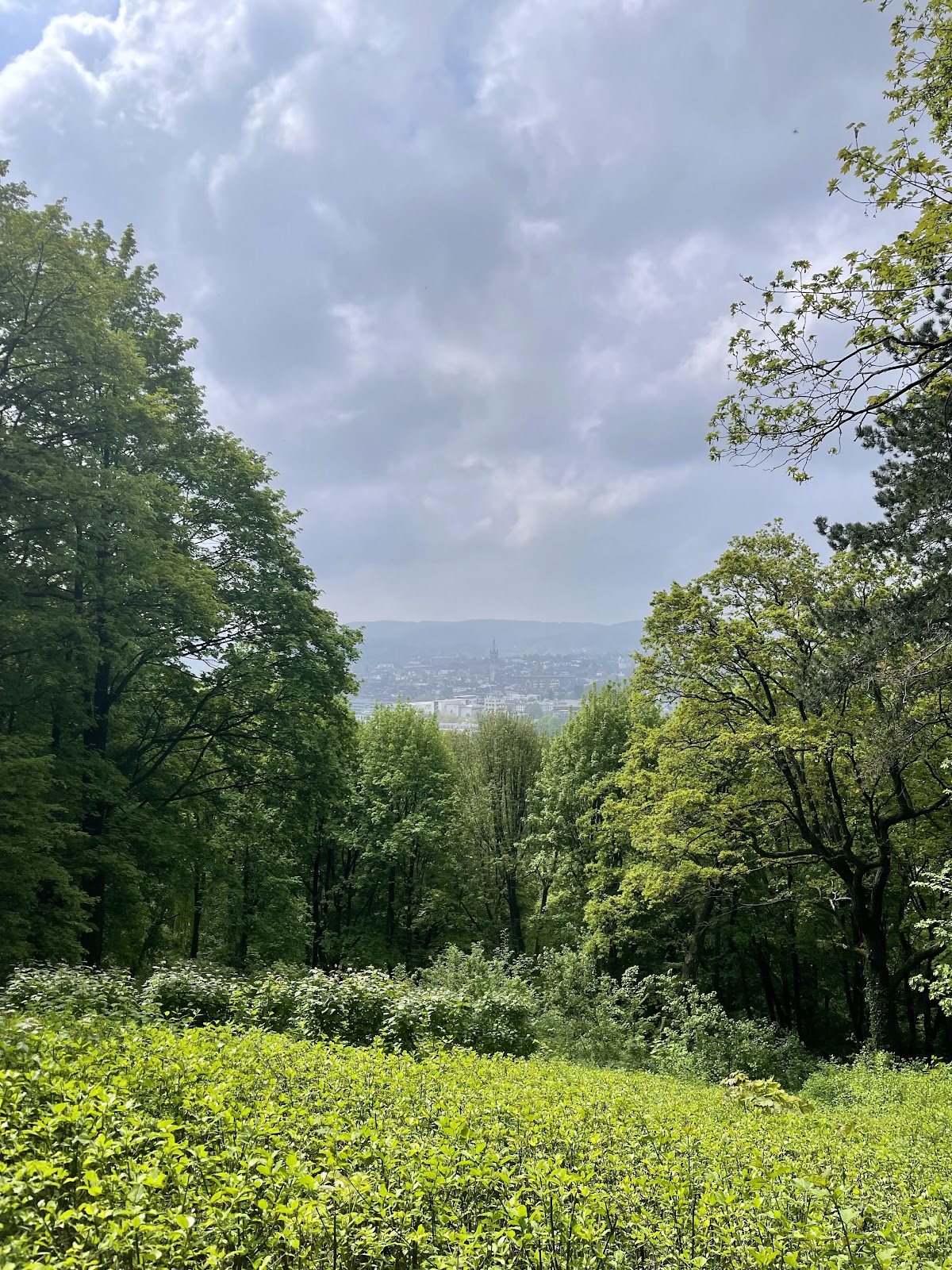 Lousberg in Aachen — park