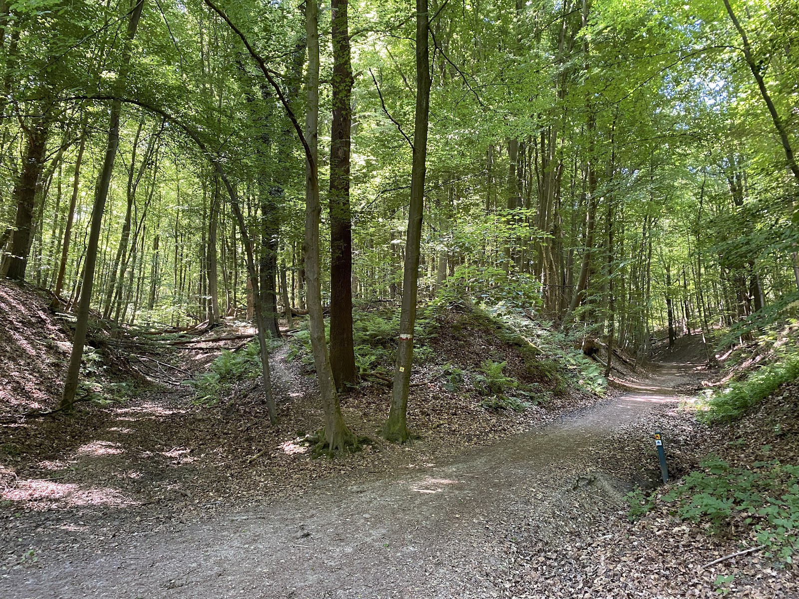 Bergse Heide in Berg en Terblijt — park