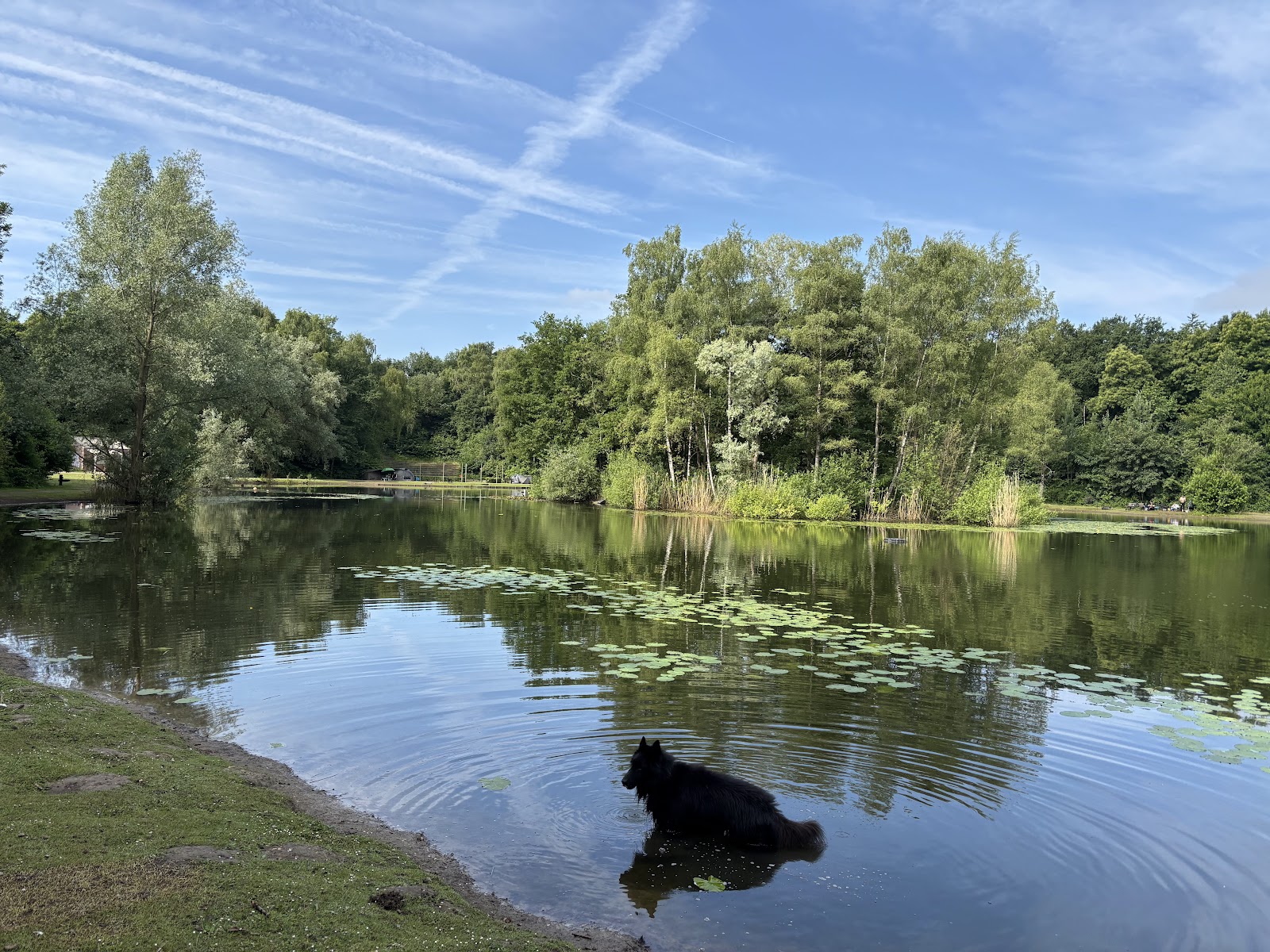 Visvijver Schinnen in Schinnen — park