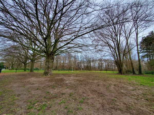 Hondenspeelweide Kinskystraat Stein in natuur