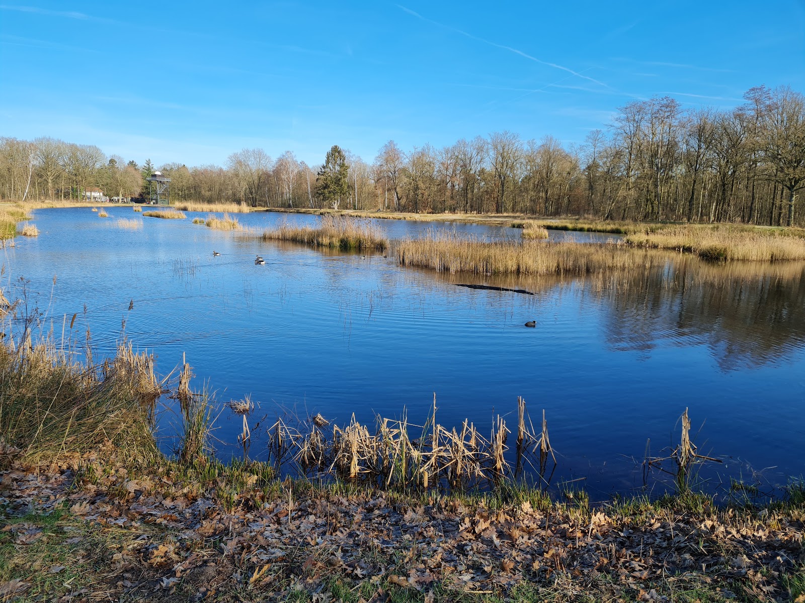 Beverbekerdijk in Hamont-Achel — park