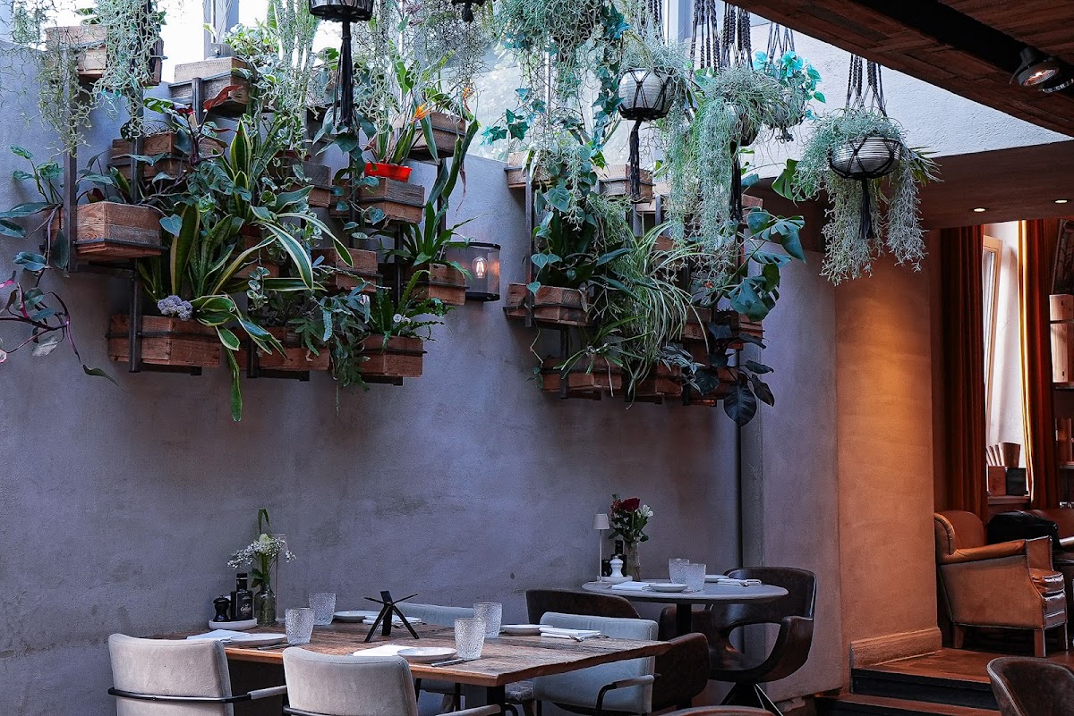 Osteria Luca in Maasmechelen — restaurant