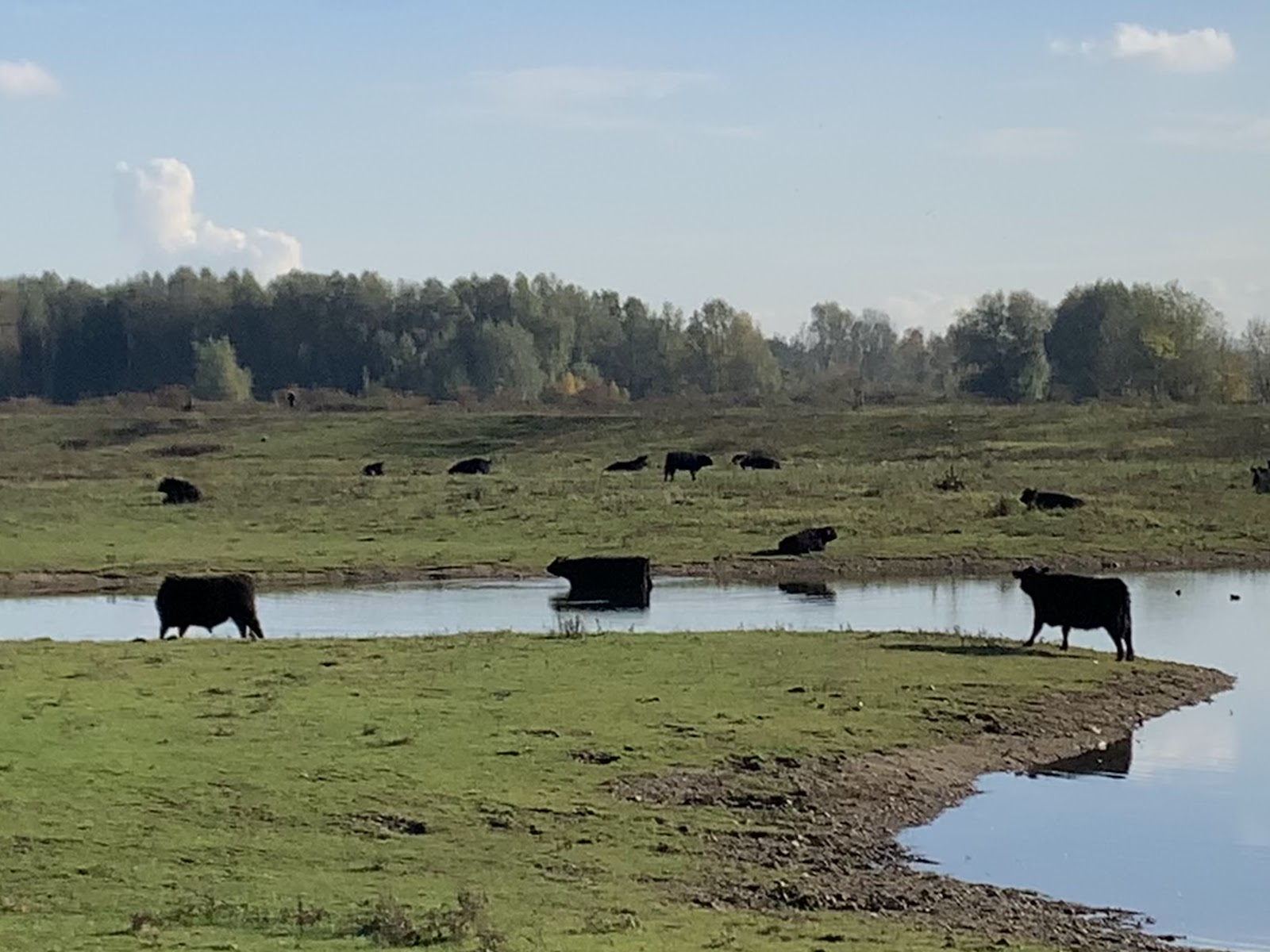 Natuurgebied Negenoord-Kerkeweerd in Dilsen-Stokkem