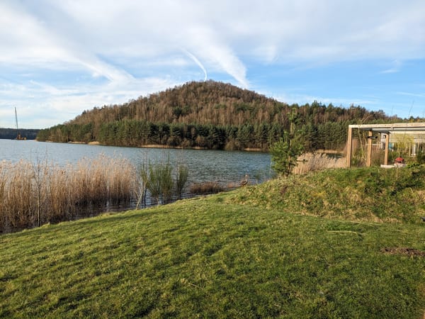 Forest Pavilion in doen