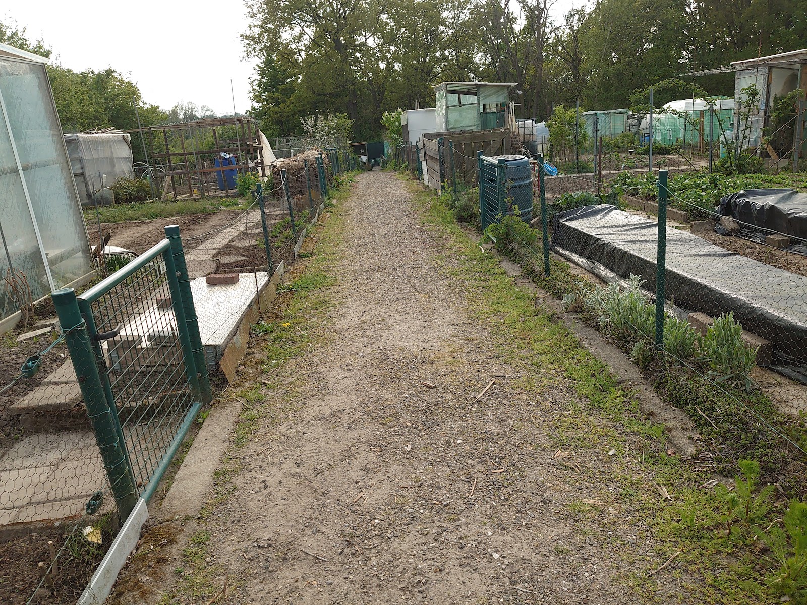 Tuindersverening "Jeugrubbenhof" in Hoensbroek — park