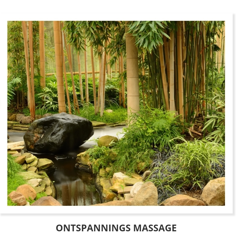 Suussereen Massage Wellness in Maastricht