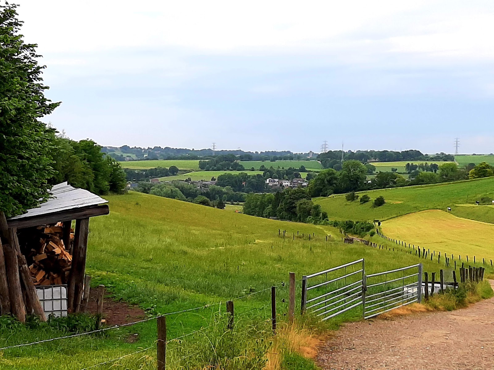 Sousberg in Schin op Geul