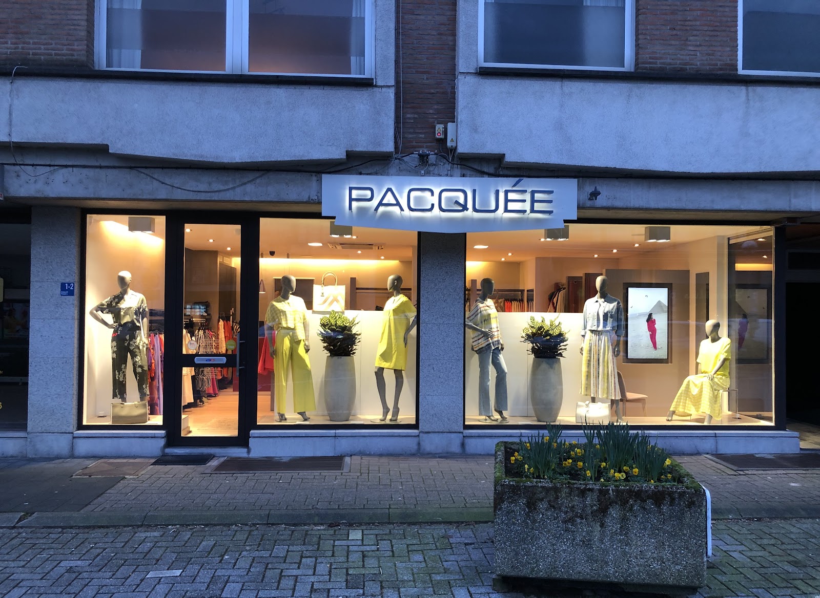 Pacquée in Bree