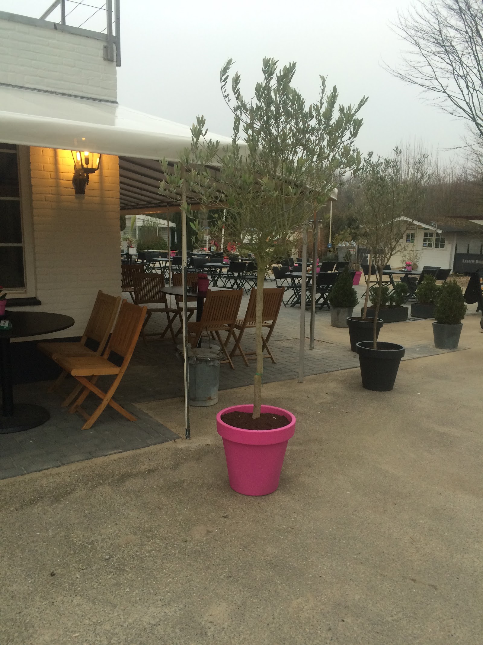 Camperplaats/Camping De Boskant/ Restaurant in Geulle