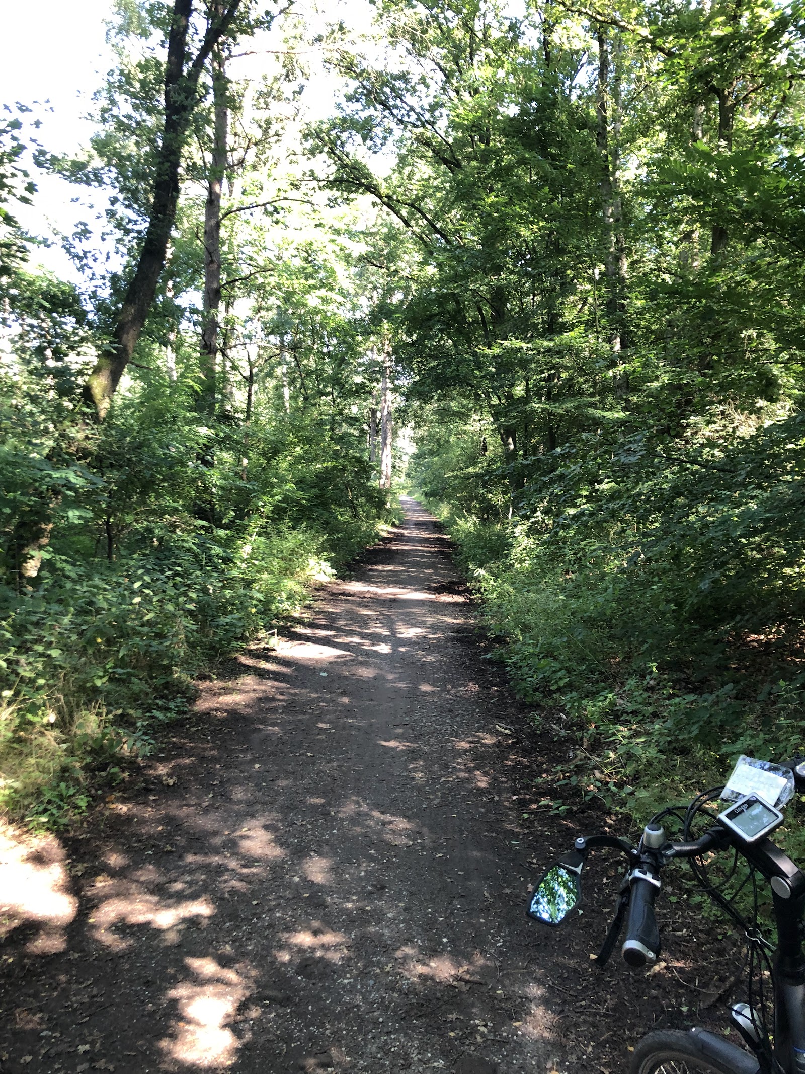 Brongebied Aalsbeek in Belfeld