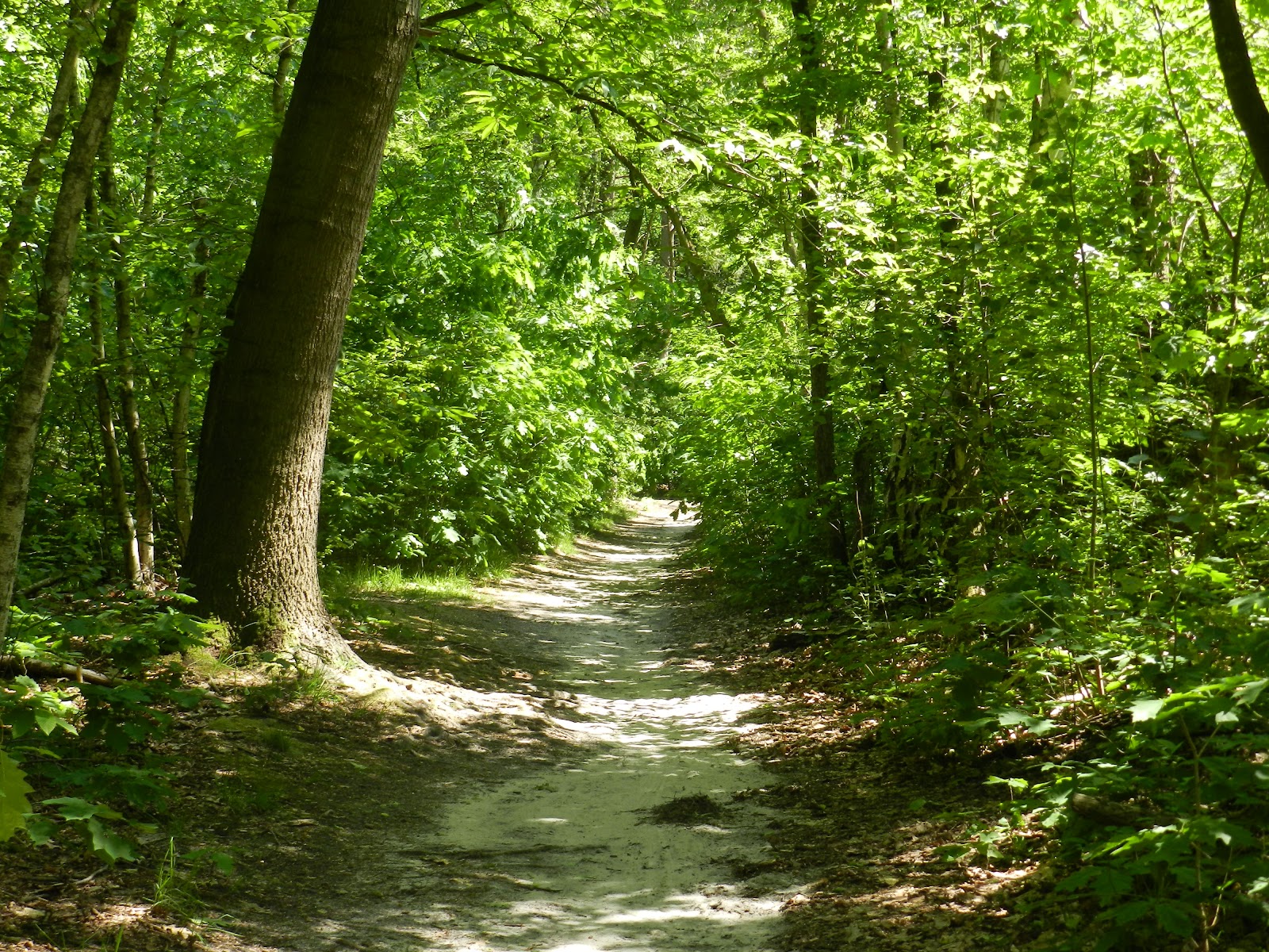 Voormalige hoeve Hoeffaert in Lanaken — park
