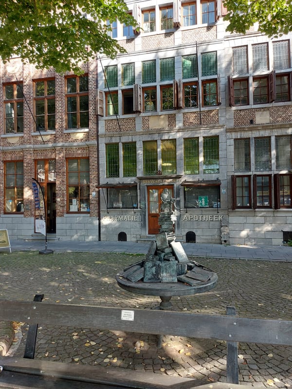 Musea Maaseik in Cultuur