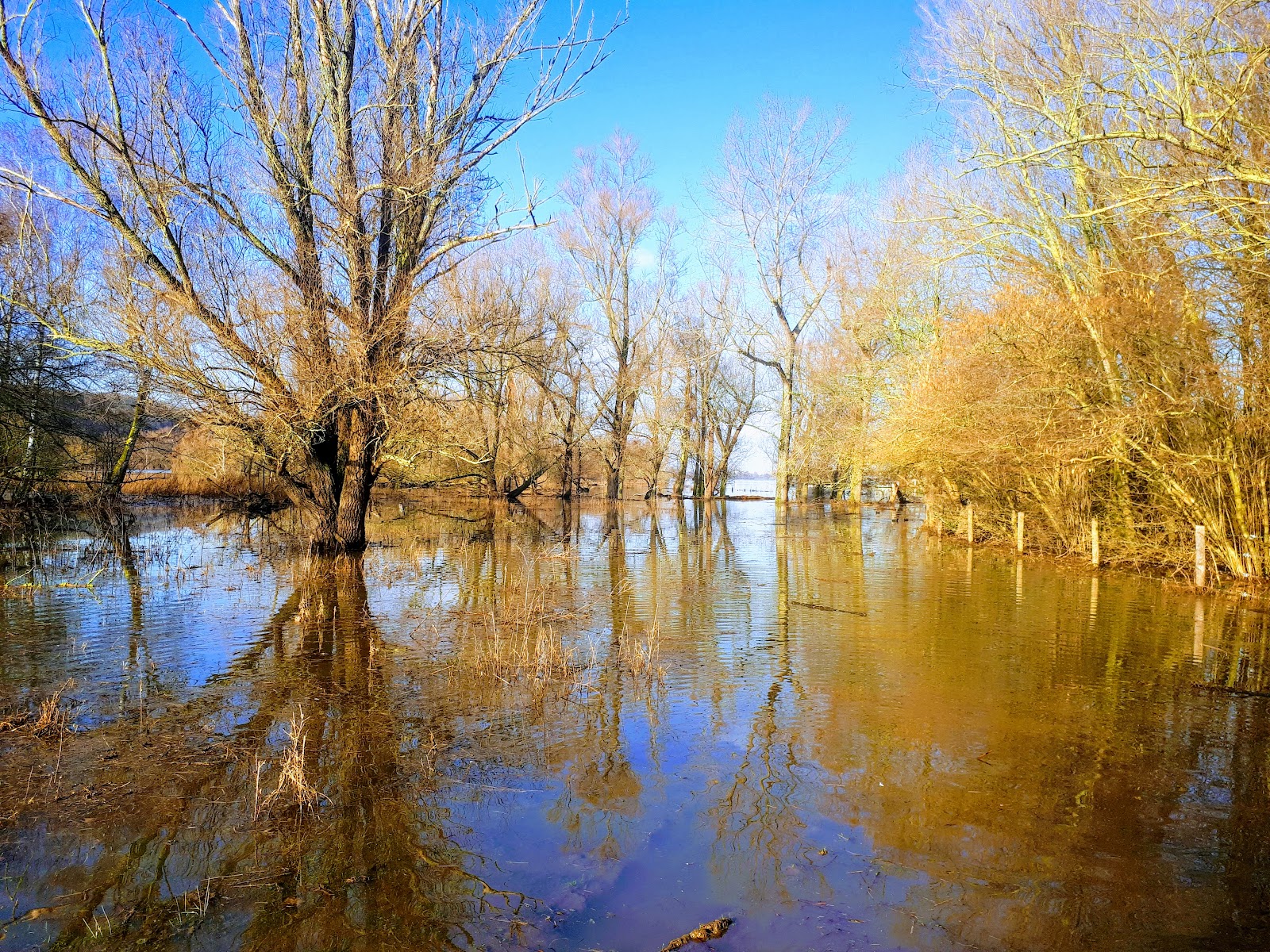 Oost-Maarland Park in Maastricht — park