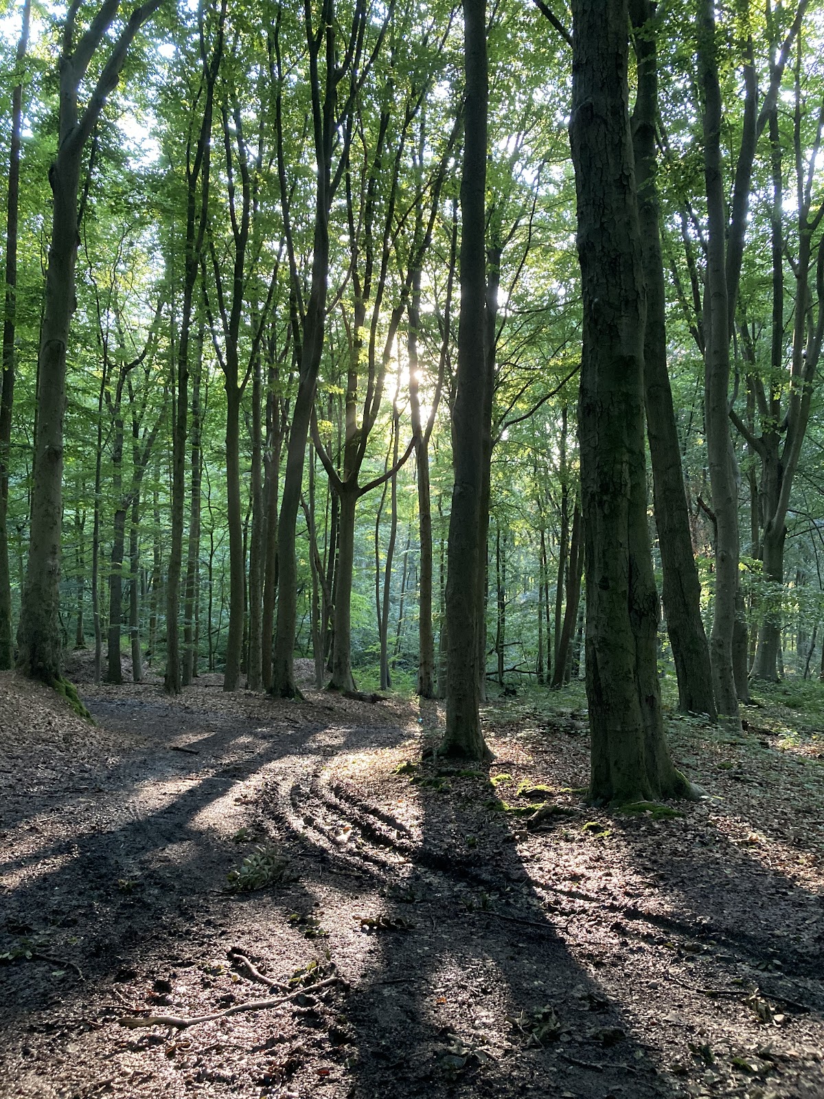 Ravensbosch in Valkenburg — park