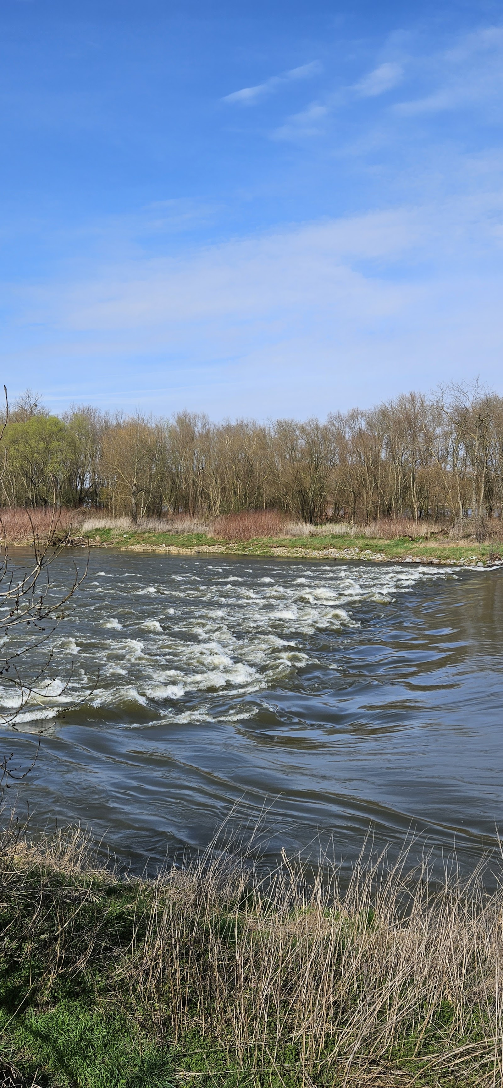 Stroomversnelling op de Maas - Kotem in Maasmechelen — attractie