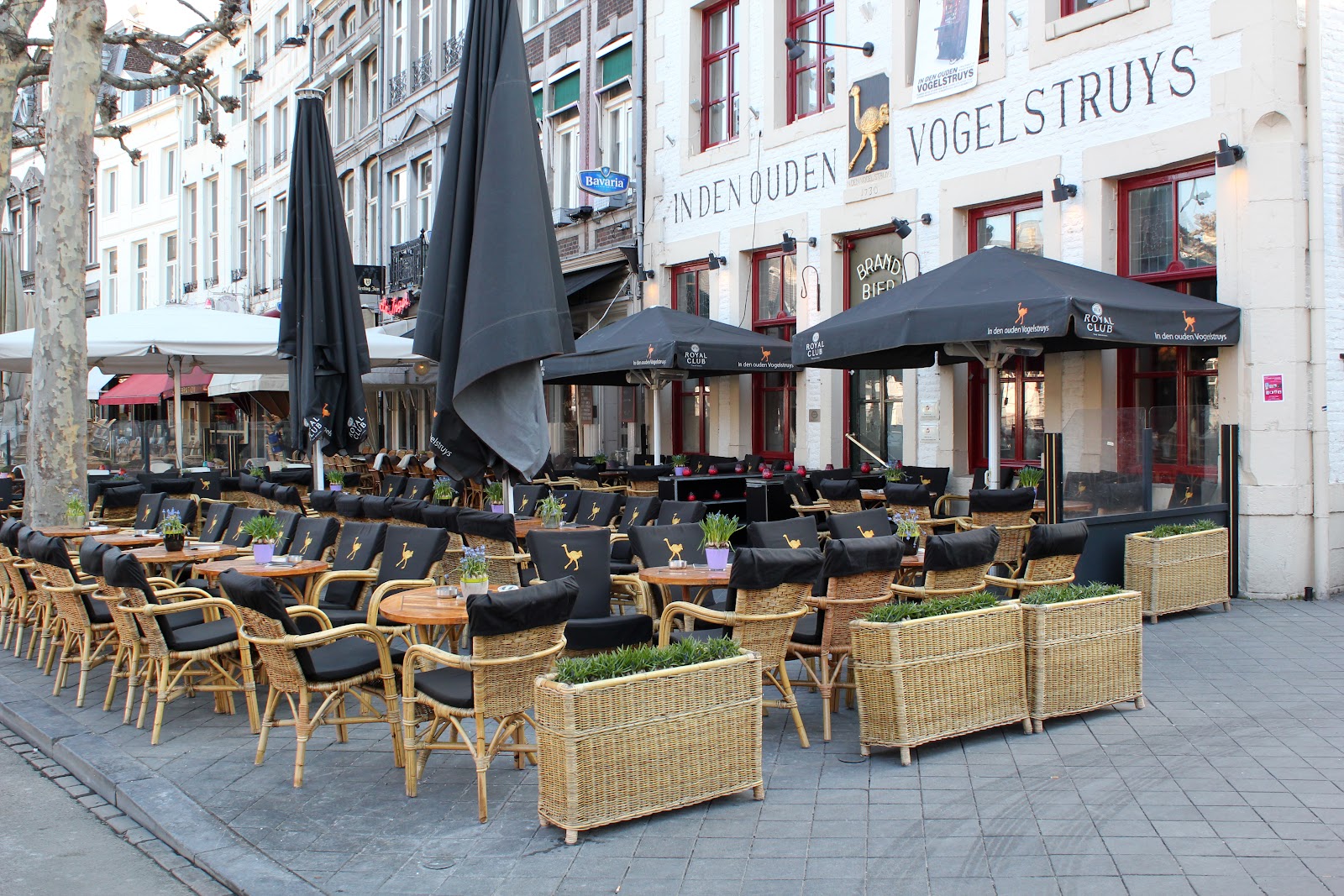 Café In Den Ouden Vogelstruys in Maastricht — café