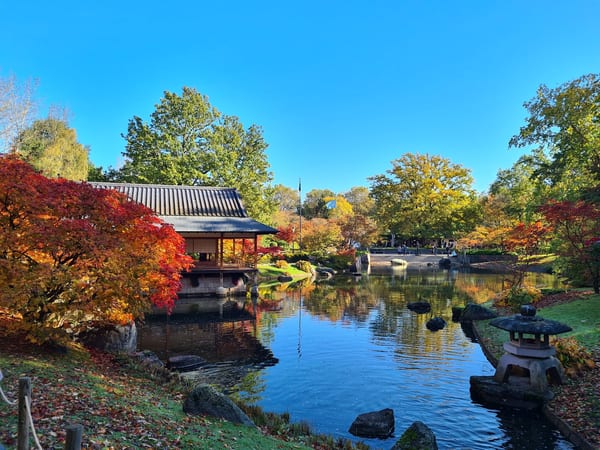 Japanse Tuin Hasselt in Natuur