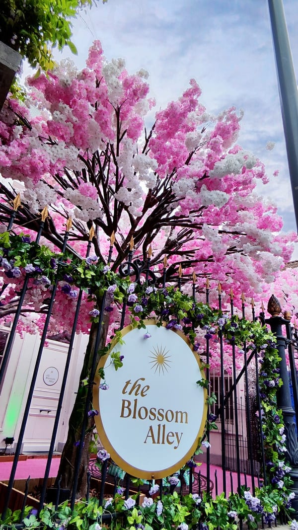 Blossom Alley Hasselt in doen