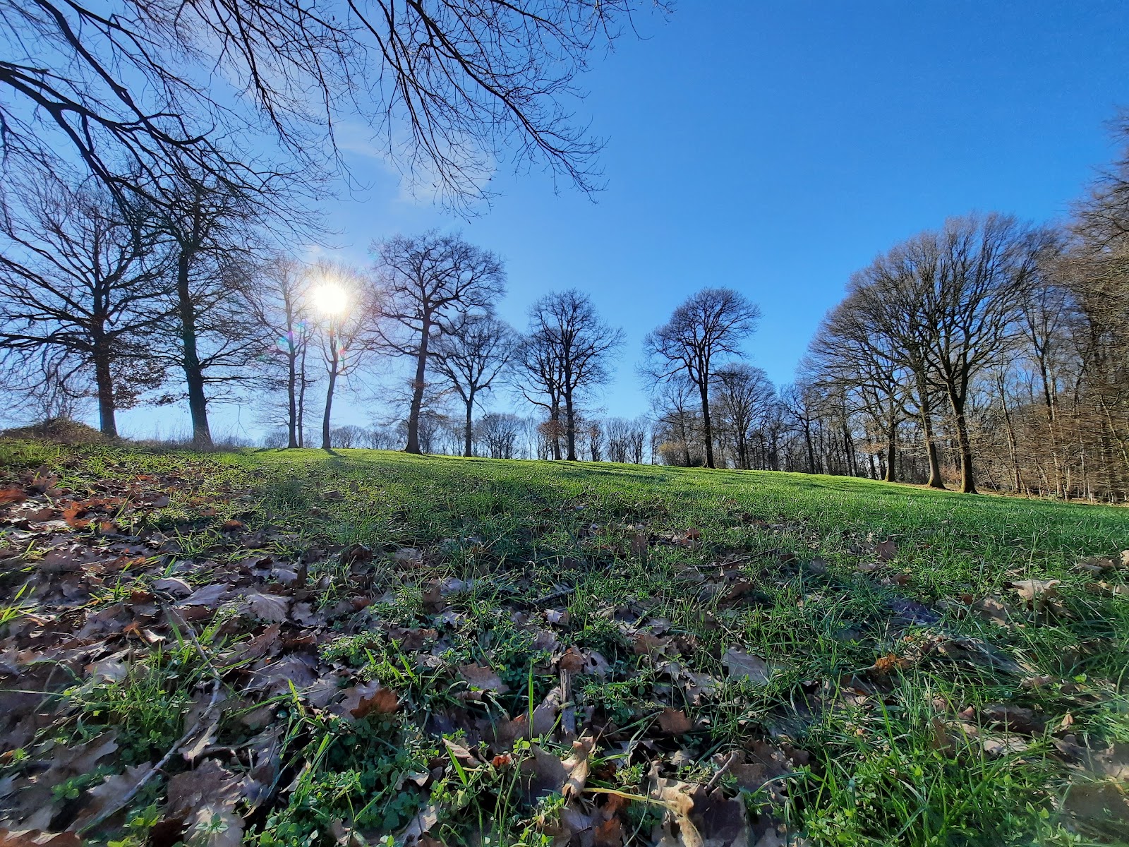 Veursvallei in Voeren — park