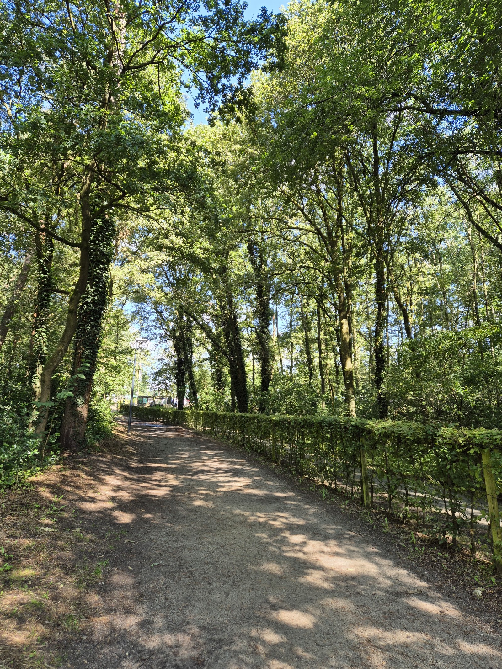 Start wandelingen: Lieteberg Nationaal Park Hoge Kempen in Zutendaal
