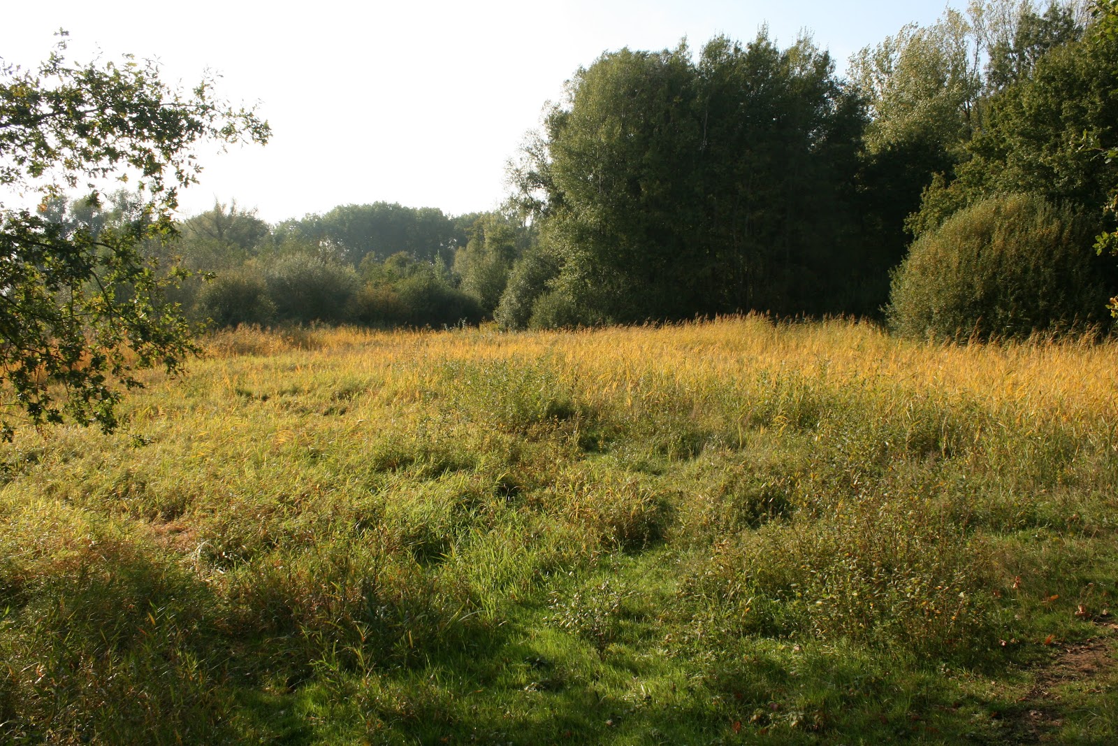 De Doort in Echt — park