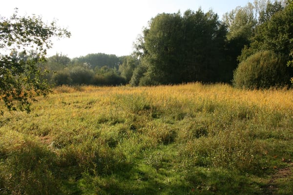 De Doort in Natuur