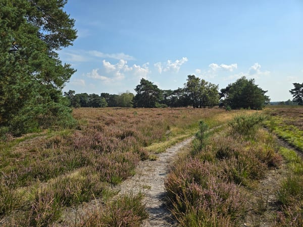 Vallei van de Ziepbeek in Natuur